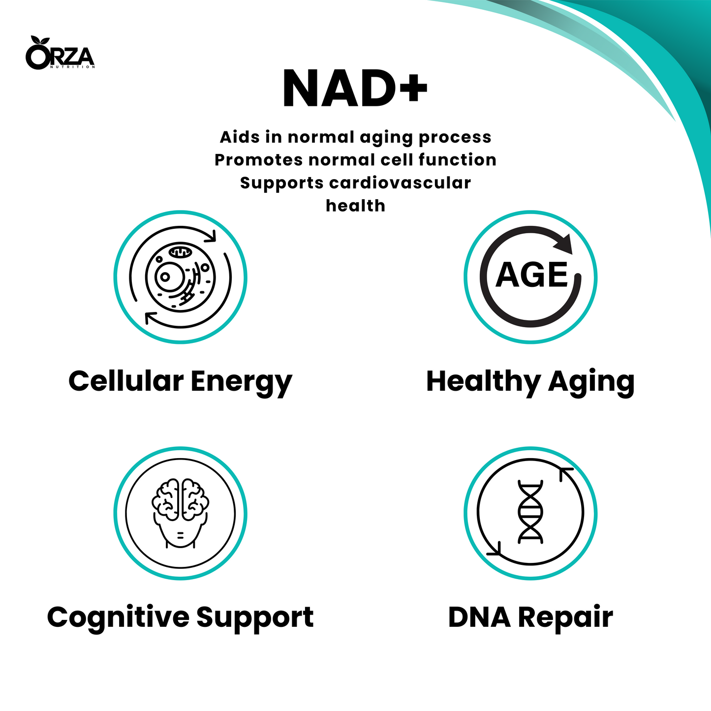 NAD+
